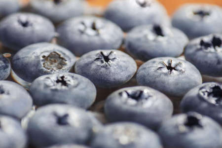 Fresh blueberries floating in water. Soft Focus view.の写真素材