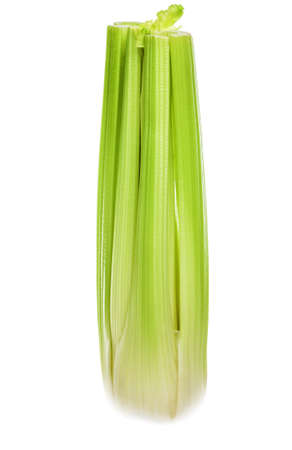 Celery highlighted on a white background.の写真素材