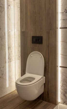 Part of the bathroom with a view of the open toilet and wood-like tiles on the wall.の写真素材