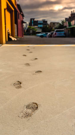 Footprints on the concrete. Footsteps on the concrete.の写真素材
