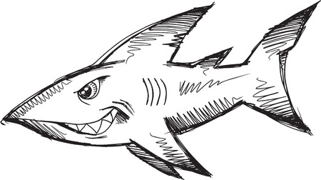 Doodle Sketchy shark  Illustrationのイラスト素材