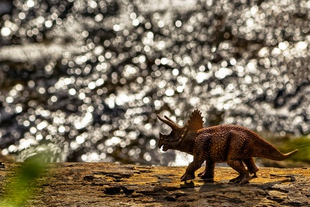 Brown Triceratops dinosaur walking with water in the  backgroundの写真素材