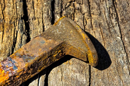 Single rusty railroad spikes laying on  groundの写真素材