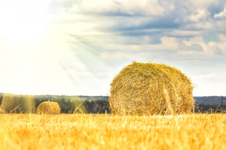 haystack in the field in the sunlight