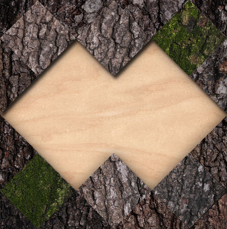 Bark with a moss tile and wood frameの写真素材