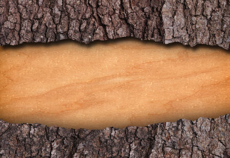 Bark and bare wood frameの写真素材