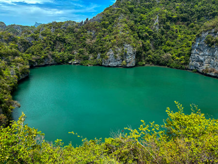 Emerald lake aat Ang Thong National Marine Park, Koh Samui, Thailandの写真素材