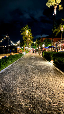 Night View of a Paved Walkway Lined with Palm Trees, Fisherman's Village, Koh Samui, Thailandの写真素材