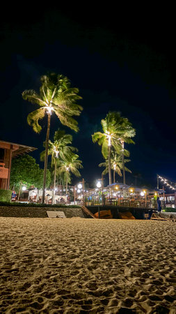 Palm trees on the beach at night in Fisherman's Village, Koh Samui, Thailandの写真素材