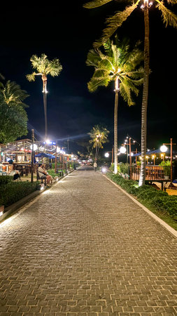 Night View of a Paved Walkway Lined with Palm Trees, Fisherman's Village, Koh Samui, Thailandの写真素材