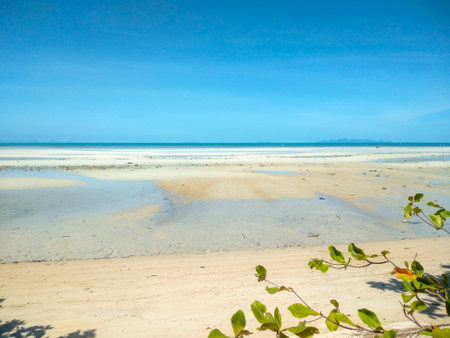 Tropical beach with white sand and blue sky background, Koh Samui, Thailand.の写真素材