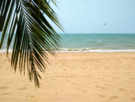 Paraglider on Jomtien Beach, Chonburi, Thailandの写真素材