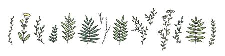 Set of hand drawn line twigs. Stock vector illustration isolated.のイラスト素材