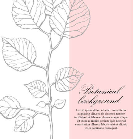 Natural background. Organic botanical design template. Hand drawn Vector illustration of Twig with leavesのイラスト素材