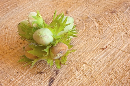 tasty fresh green hazelnut on  brown backgroundの写真素材