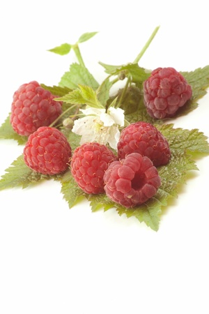 raspberry flower on a green leafの写真素材