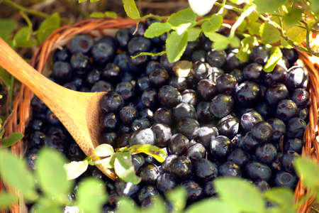 transcendent light guiding the wooden spoon in the basket filled with blueberries