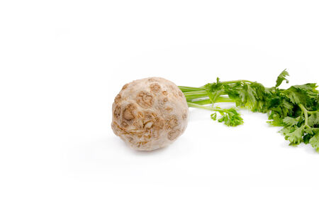 fresh celery with beautiful green leaves isolated on whiteの写真素材