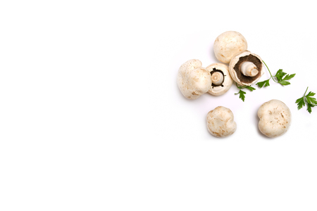 white fresh champignon mushrooms on white backgroundの写真素材