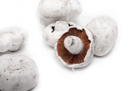 white fresh champignon mushrooms on white backgroundの写真素材