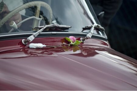 section of classic Skoda Octavia from the 1960の写真素材