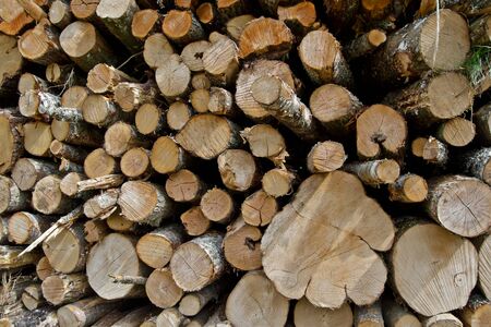 environmental stand for conserving the richness of green woodsの写真素材