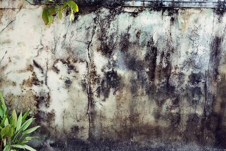cracked concrete vintage wall background,dirty old wallの写真素材