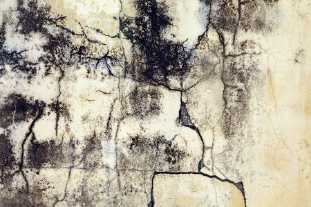 cracked concrete vintage wall background,dirty old wallの写真素材