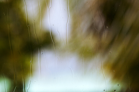 Fresh rain splash drops on a window with background green palms leaves nature in Blurの写真素材