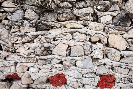 cracked stones concrete wall background,old wall with seashells elementsの写真素材
