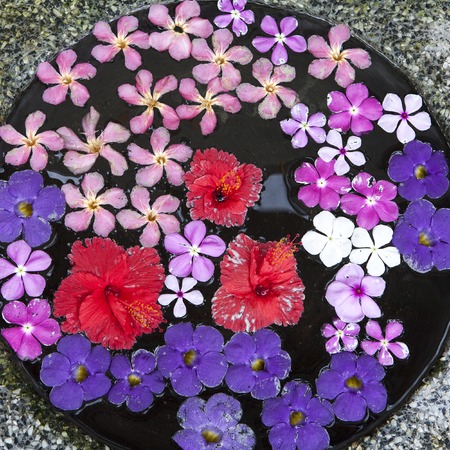 Water drops on a bright summer flowers
