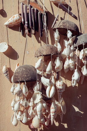 Seashell background, lots of different seashells piled togetherの写真素材