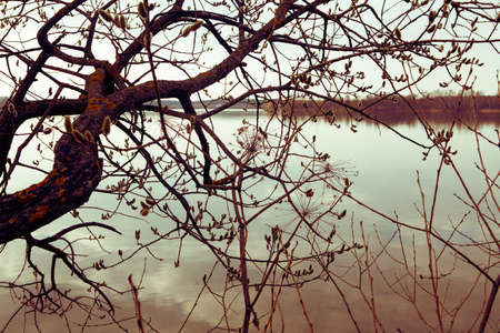 sunset on the river, beautiful warm colorsの写真素材