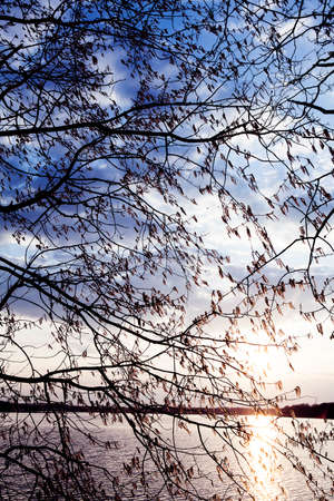 sunset on the river, beautiful warm colorsの写真素材