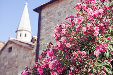Old town in Europe at sunny day with beautiful flowers behind old wallの写真素材