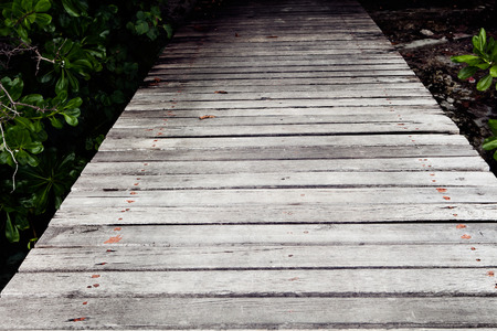 Wooden pier from the beach to green plantsの写真素材