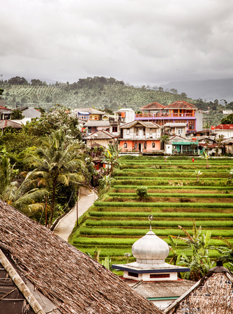 Rice terraces, Rice field on the mountain, Natural retreats,The life of the hilltribe, Java,...