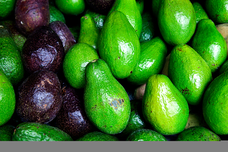 Avocado also refers to the Avocado tree's fruit, which is botanically a large berry containing a single seed. Raw fruits background.の写真素材