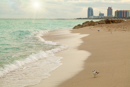 Miami Beach in Florida with luxury apartments and waterway.の写真素材