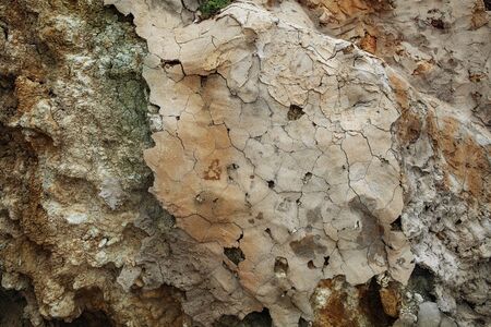 Stones texture and background. Rock textureの写真素材