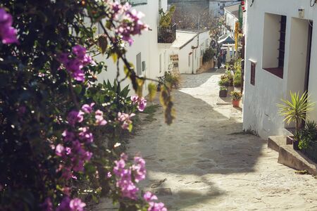 Sunny road to San Joan Sunday hippie market on Ibiza, Spainの写真素材