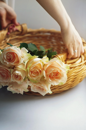 Women's hands hold a woven basket with bunch of pale pink cream roses. Soft focus. Romance background with copy space.の写真素材