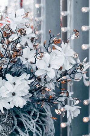 Christmas decoration with white flowers, leaves and lights in the winter season.の写真素材