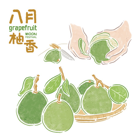 Mid-Autumn Festival, Chinese "The smell of fruit-pomelo in August", grapefruitのイラスト素材