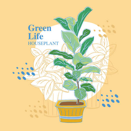 Vector illustration of houseplant in pot, green leafy plantのイラスト素材