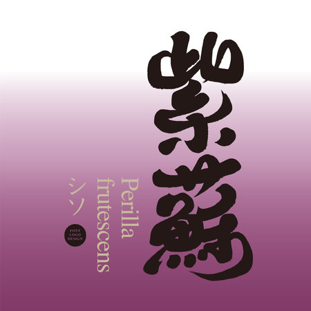 "Perilla", natural purple food, handwritten calligraphy characters, cooking ingredients, characteristic handwritten font design.のイラスト素材