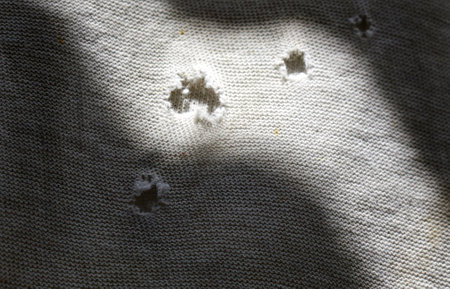 Close-up view of textile material and texture with holes in sunlightの写真素材