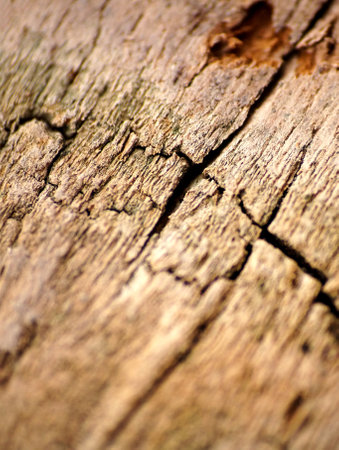 Close-up View of old wood texture backgroundの写真素材