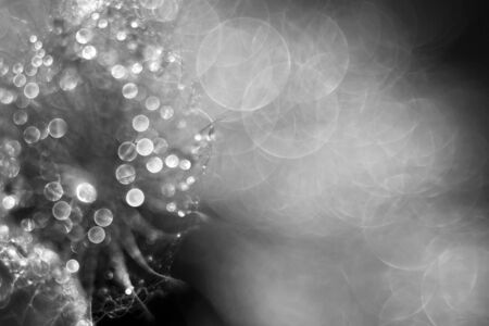 Shiny abstract holiday backgroundの写真素材