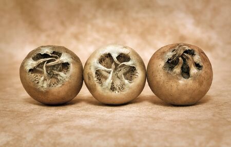 exotic fruitsの写真素材